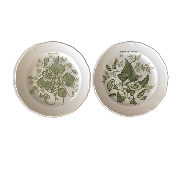 Set 2 assiettes Glen décor botanique