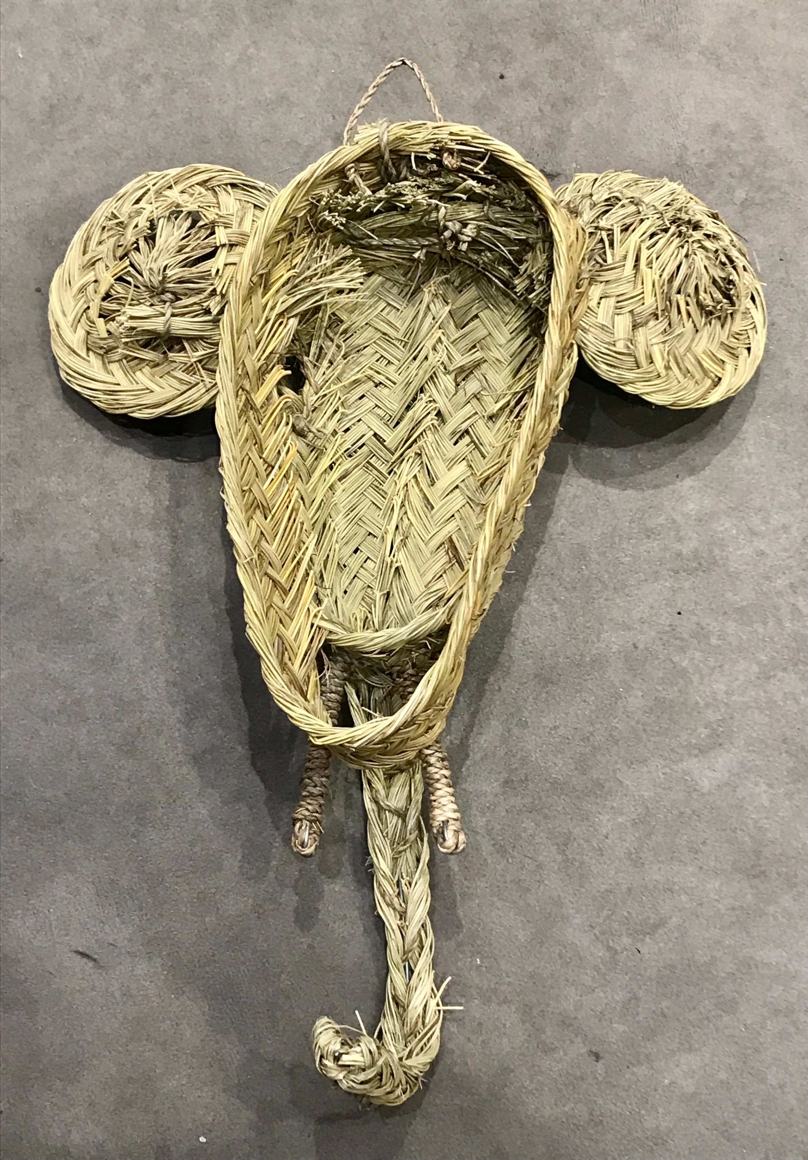 Trophy head elephant alfa braided