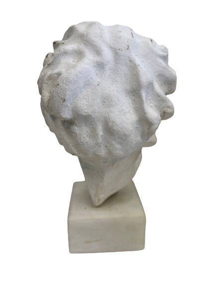 Stone head on marble base