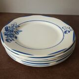 Dinner plates digoin