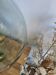 Demijohn 20 L