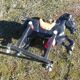 Vintage carousel riding horse
