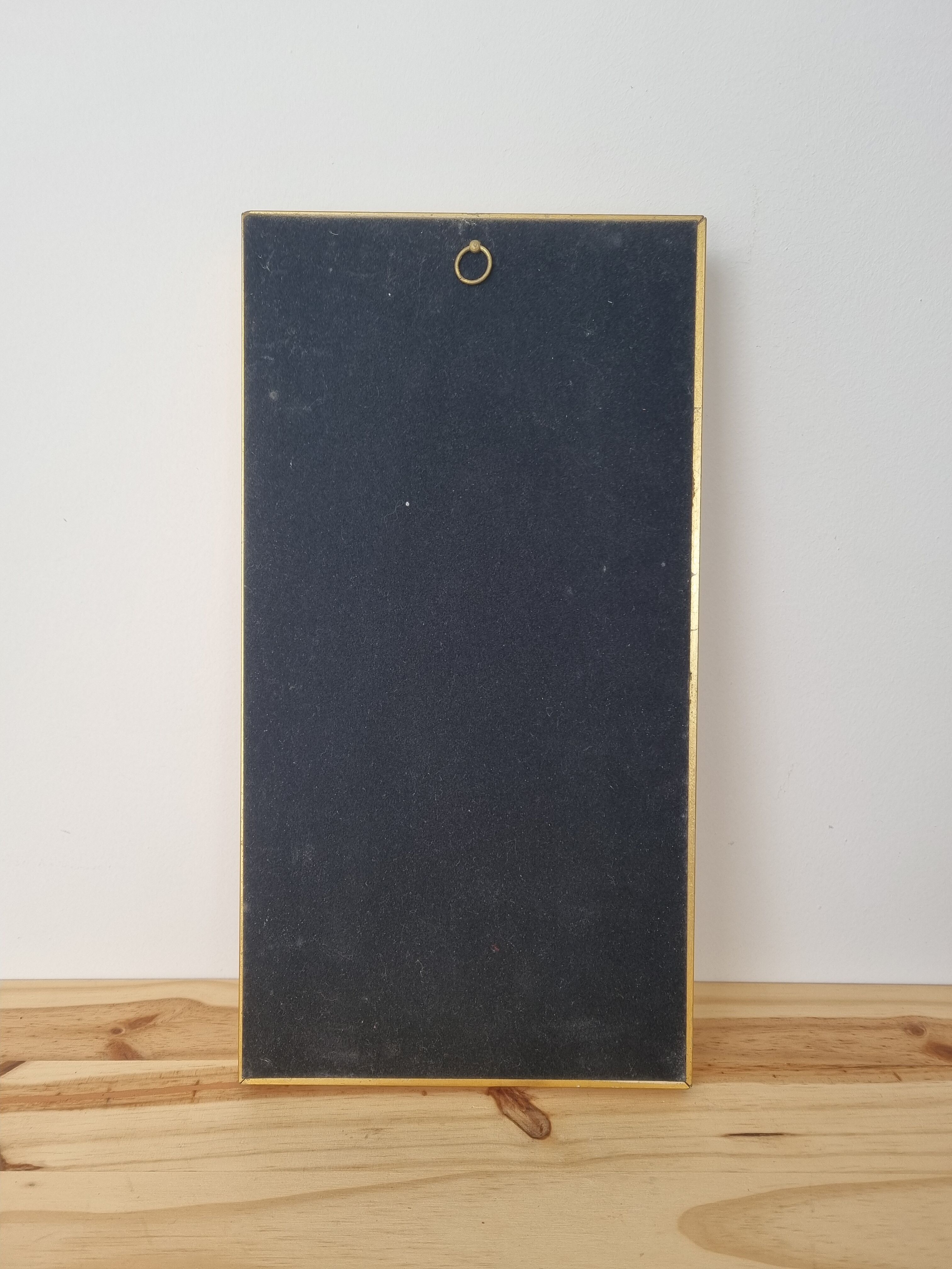 Vintage frame naturalized butterflies