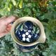Savoyard artisan carafe