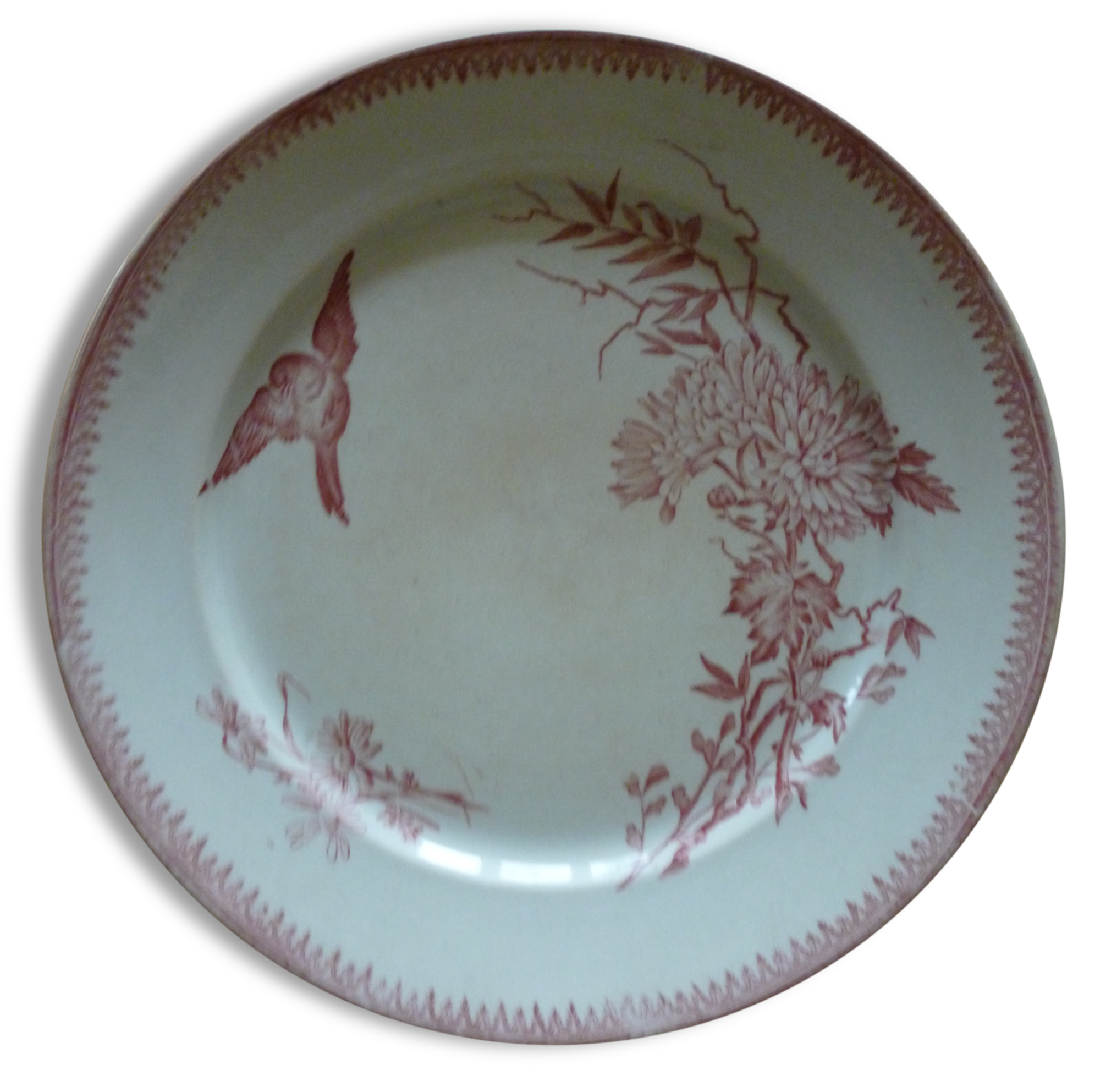 Plate Pexonne rose