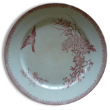 Plate Pexonne rose