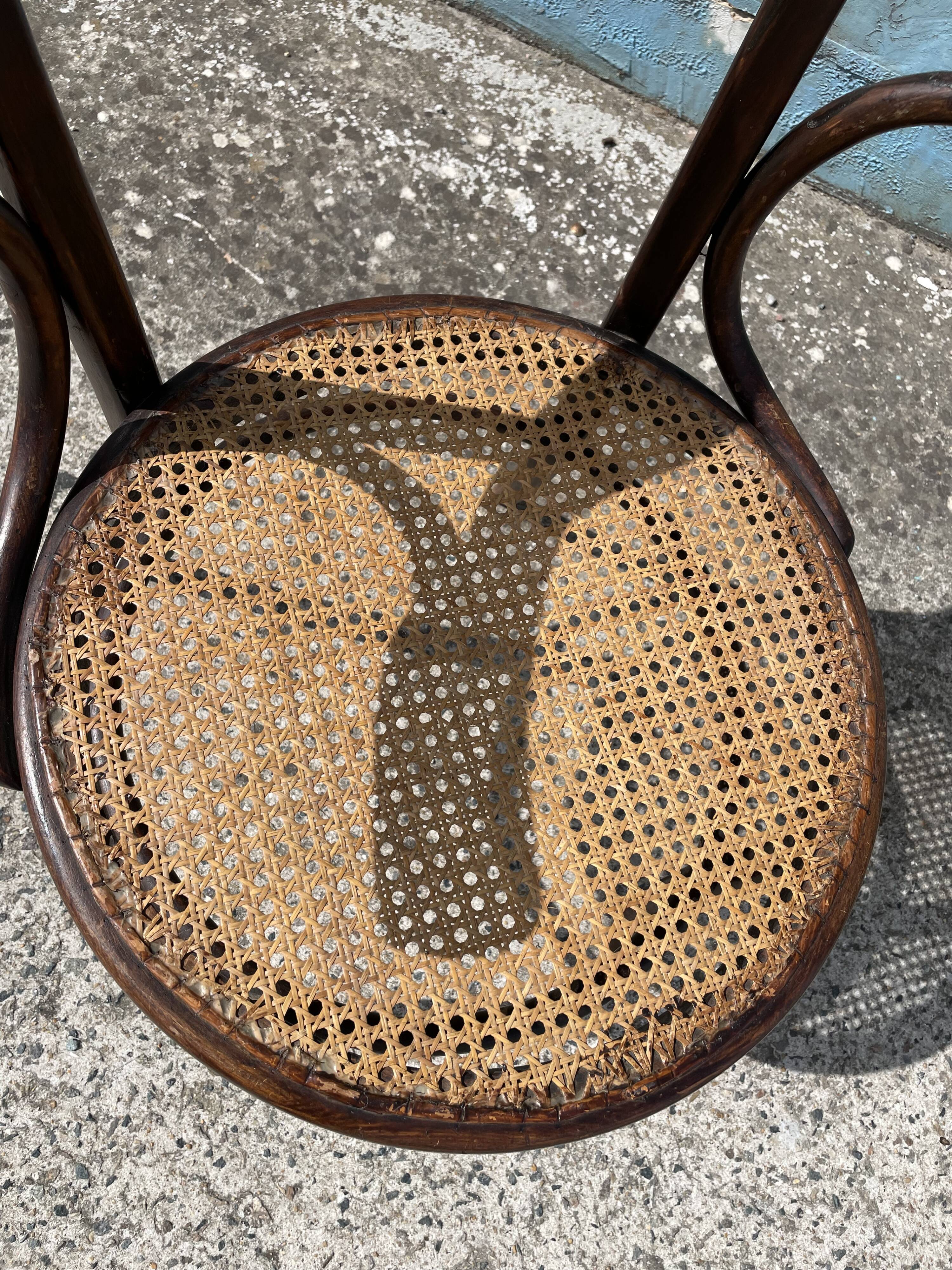 Canned office chair MUNDUS 1900