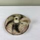 Handcrafted stoneware pottery