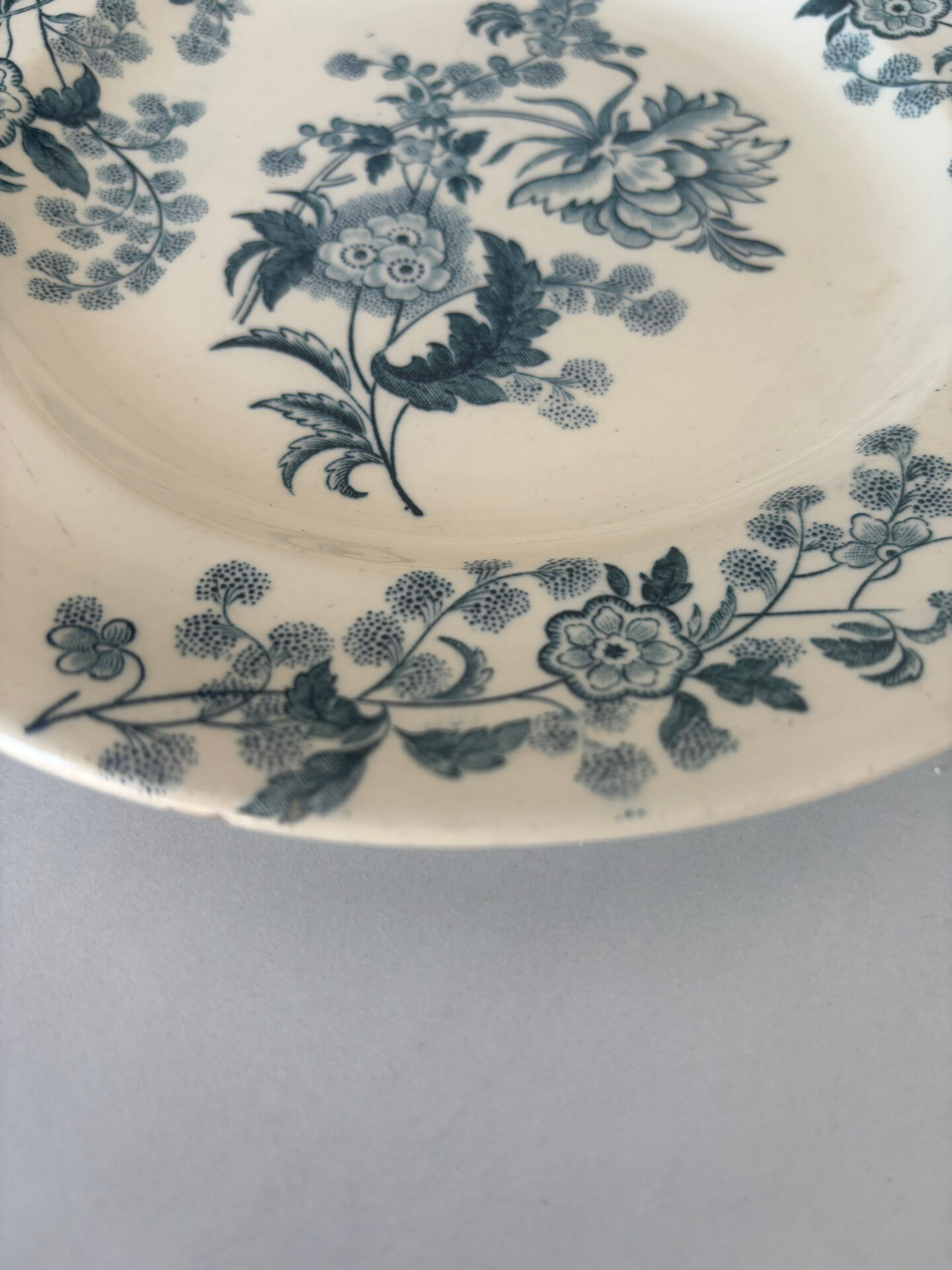 Flat plate iron earth Longwy model Ycho - blue flower faience ja