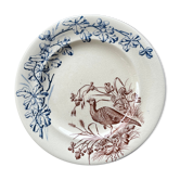 Plate Faïencerie de Clairefontaine