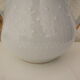 Limoges porcelain decanter