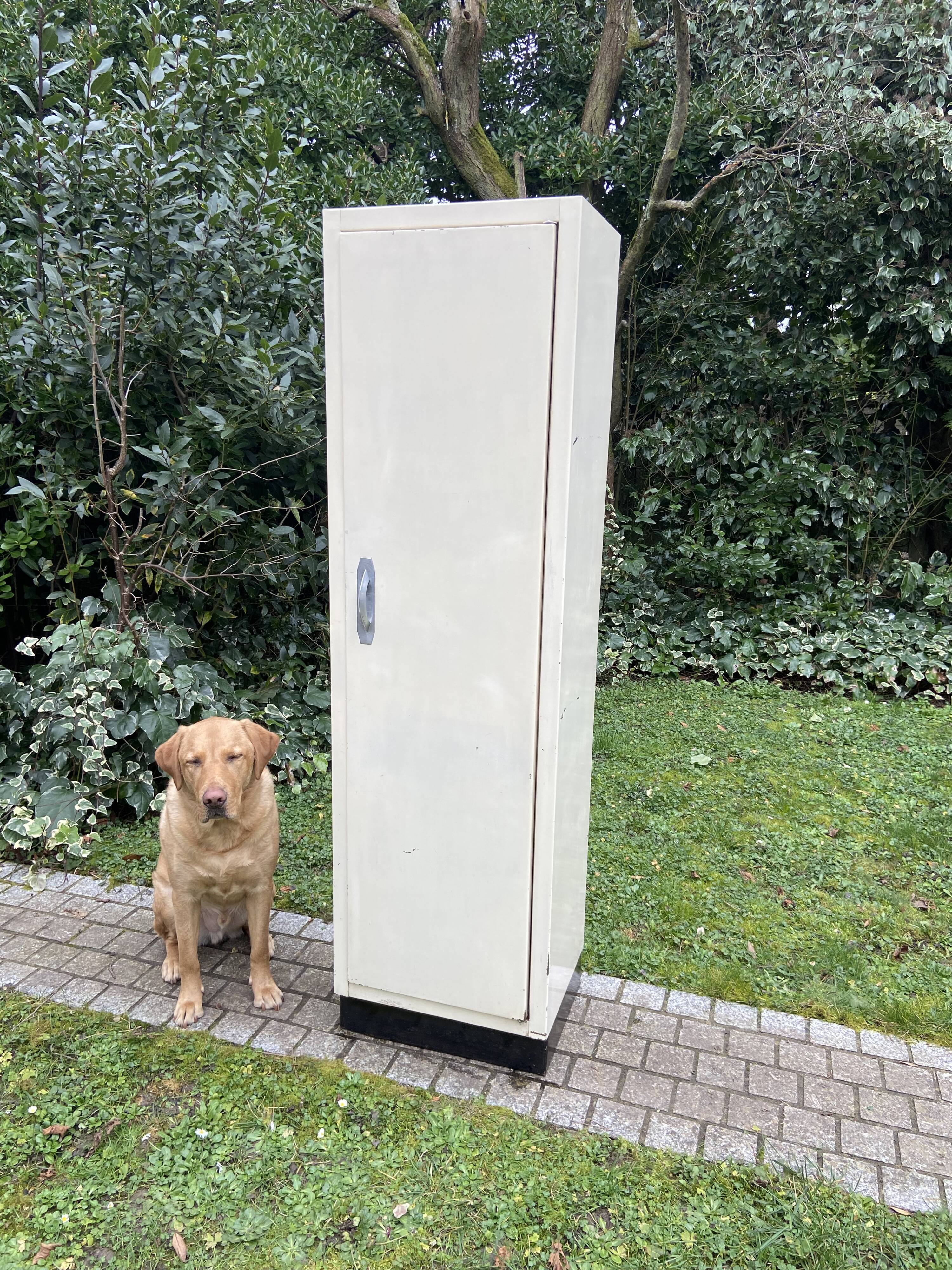 Vintage metal cabinet 1950