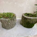 Pair of tree trunk cement planters