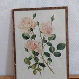 Tableau botanique rose