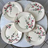 5 flat plates Digoin Sarreguemines model Aigues-Vives hand painted years 30-40