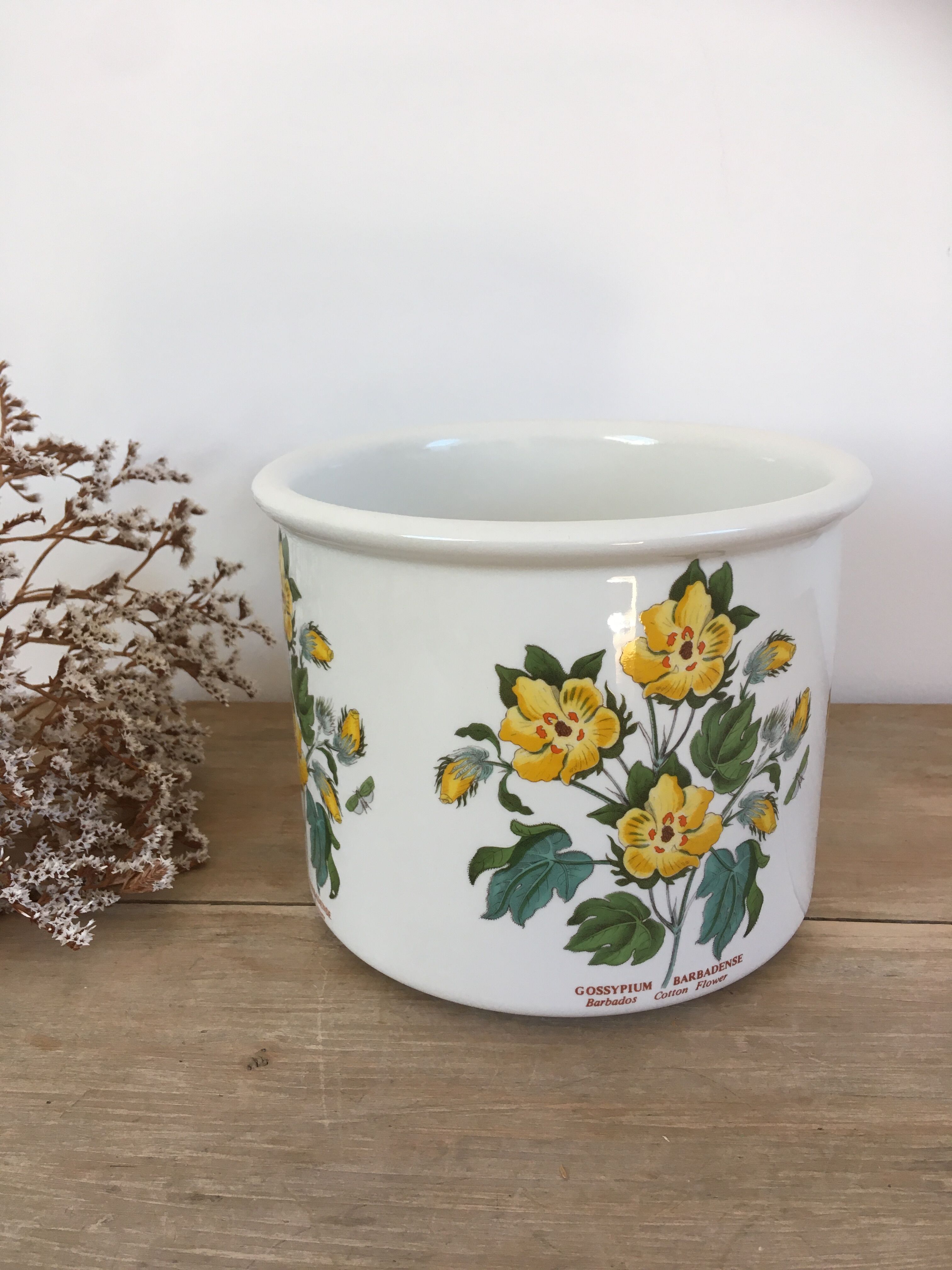 Vintage pot cover the botanic garden