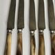 Lot of 24 horn handle knives circa 1900