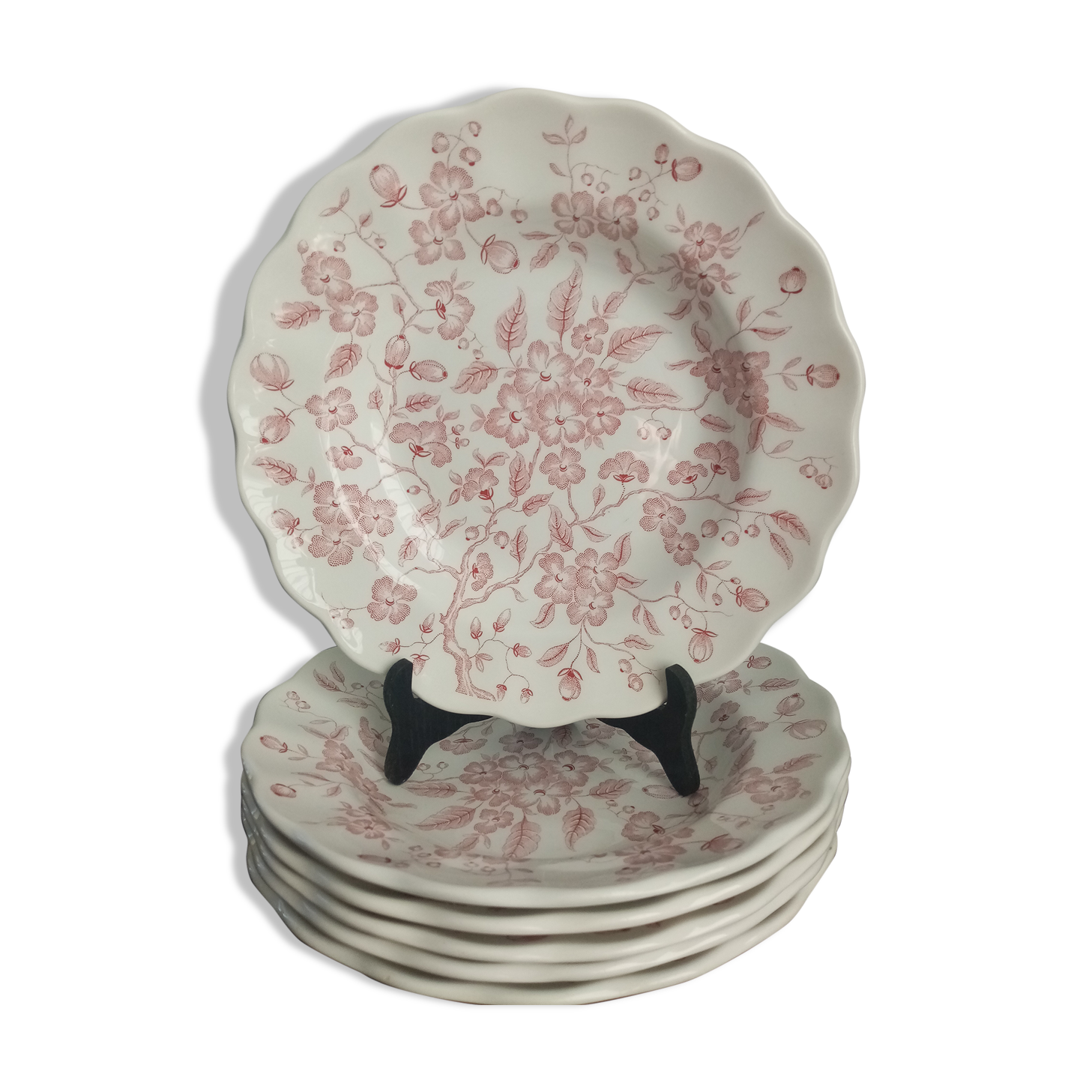 Plates nuova fontebasso