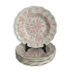 Plates nuova fontebasso