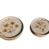 5 dinner plates and 5 small plates Niderviller model Doria