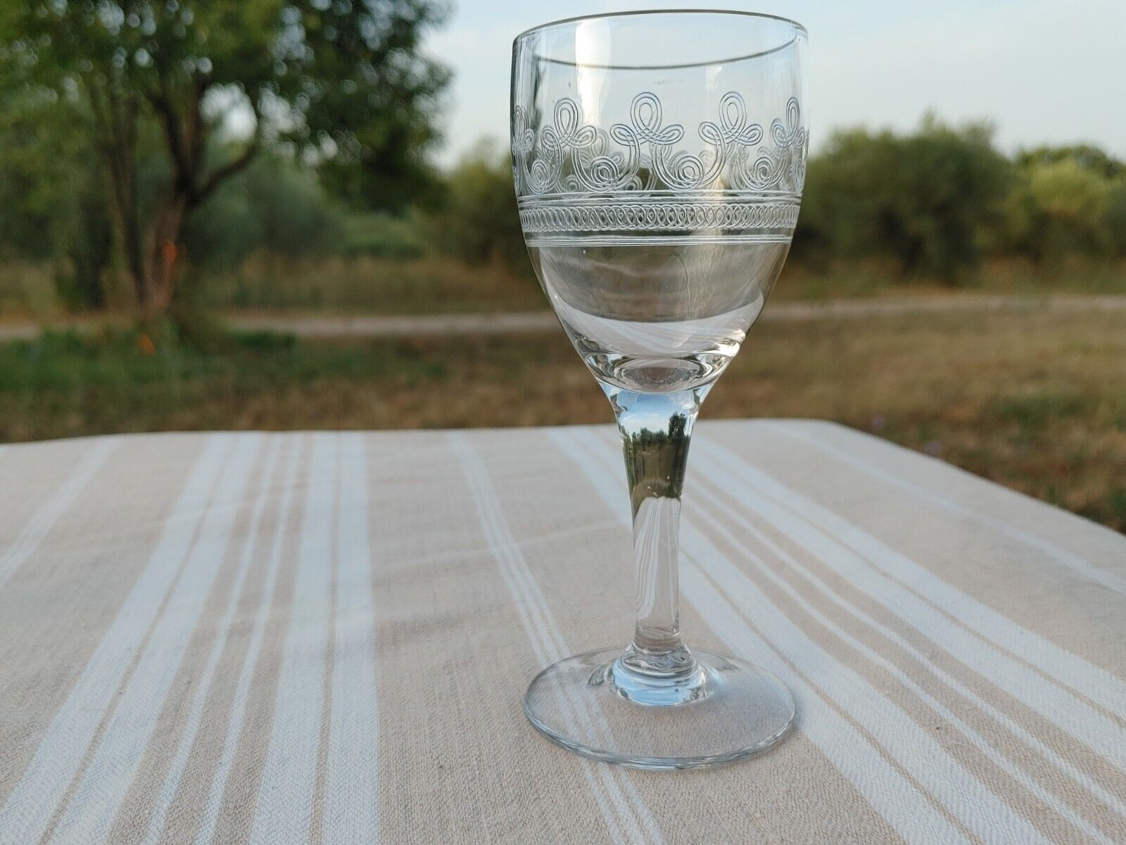 8 old white wine glasses engraved with a frieze late 19th early 20th