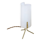 Mid-Century Italian Plastic and Brass Table Lamp