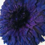 Juju hat navy blue 50 cm