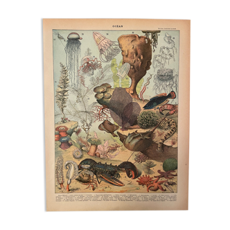 Lithographie gravure océan (2) de 1897