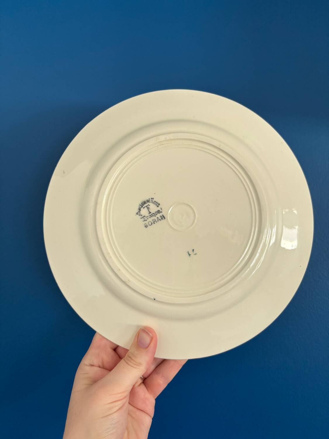 Set of 8 Badonviller France Earthenware Flat Plates, Boran Vintage Model