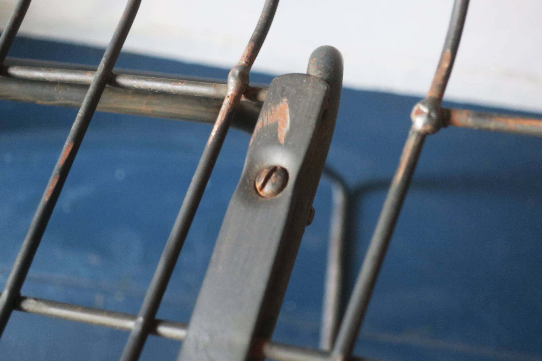 Mid century SM05 side chair by Cees Braakman for Pastoe, 1950s