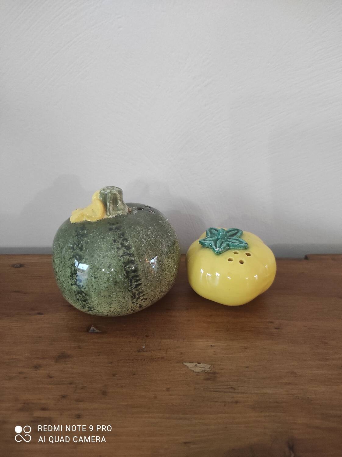 Barbotine salt and pepper shaker set