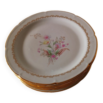 Lot de 7 assiettes C.G pâte émaux Limoges,  25cmx25cm