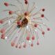 Pendants chandelier drops crystal of Murano circa 1980