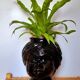 Vase or pot cover in the shape of a Moor's head made of glass from the 1970s.