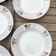 Ensemble de 7 assiettes plates christiane sarreguemines et digoin