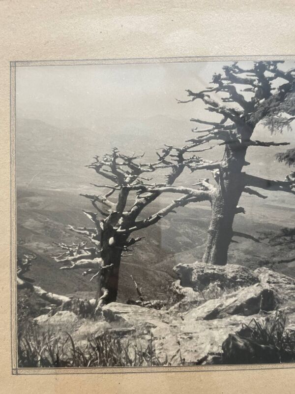 Photographie tirage argentique collection 1950