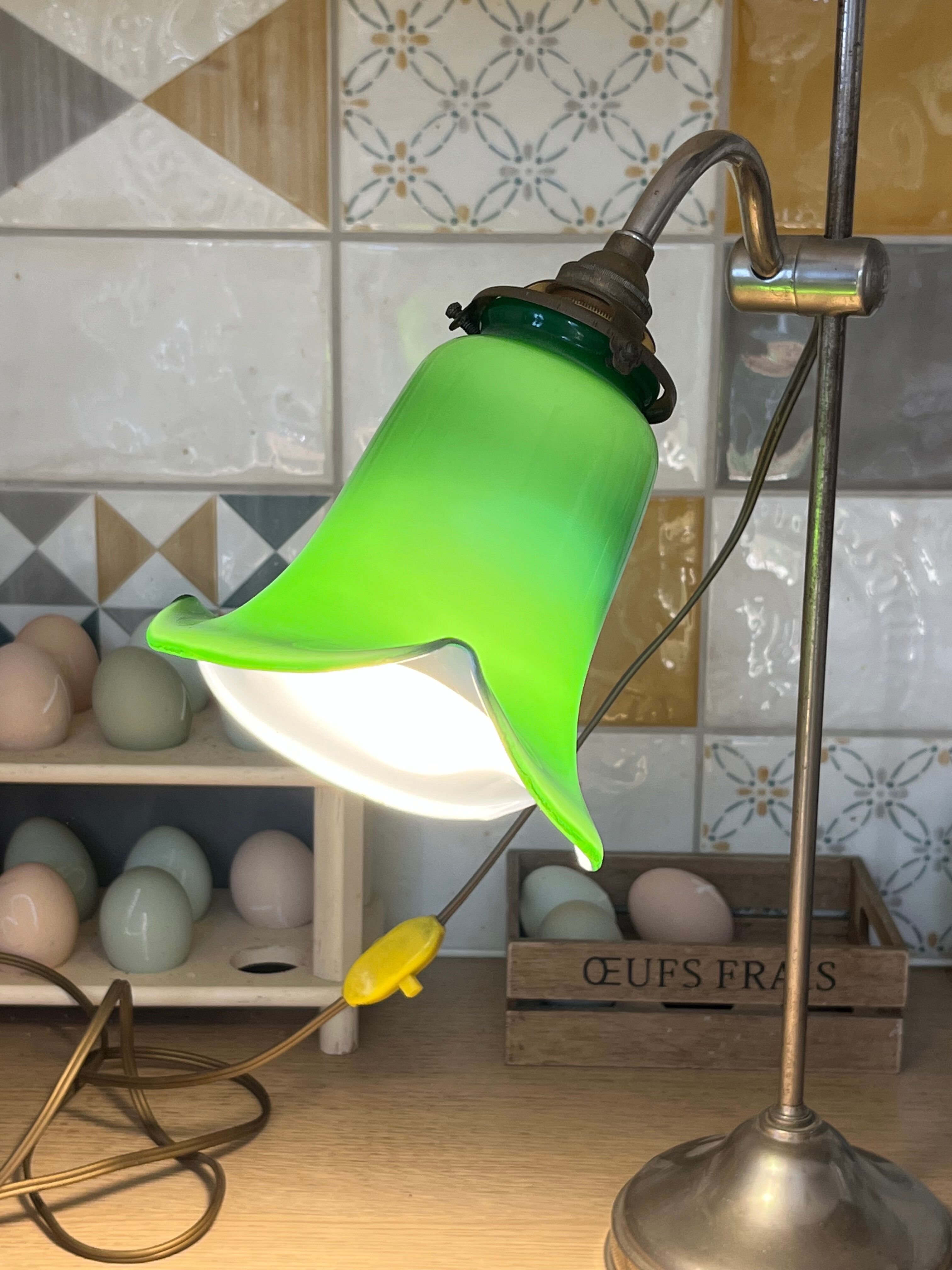 Desk lamp lampshade tulip