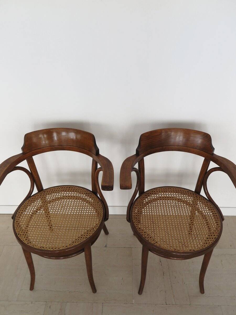 Vintage Chairs by Michael Thonet for Thonet, 1930s, Set of 6