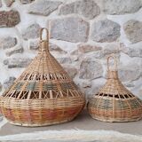 Old willow suspension