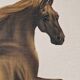 La Roche Laffitte (Born in 1943) - Watercolour drawing on fabric - Horse