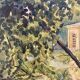 Vintage landscape watercolor