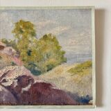 Oil painting on canvas "Cliff" No. 41