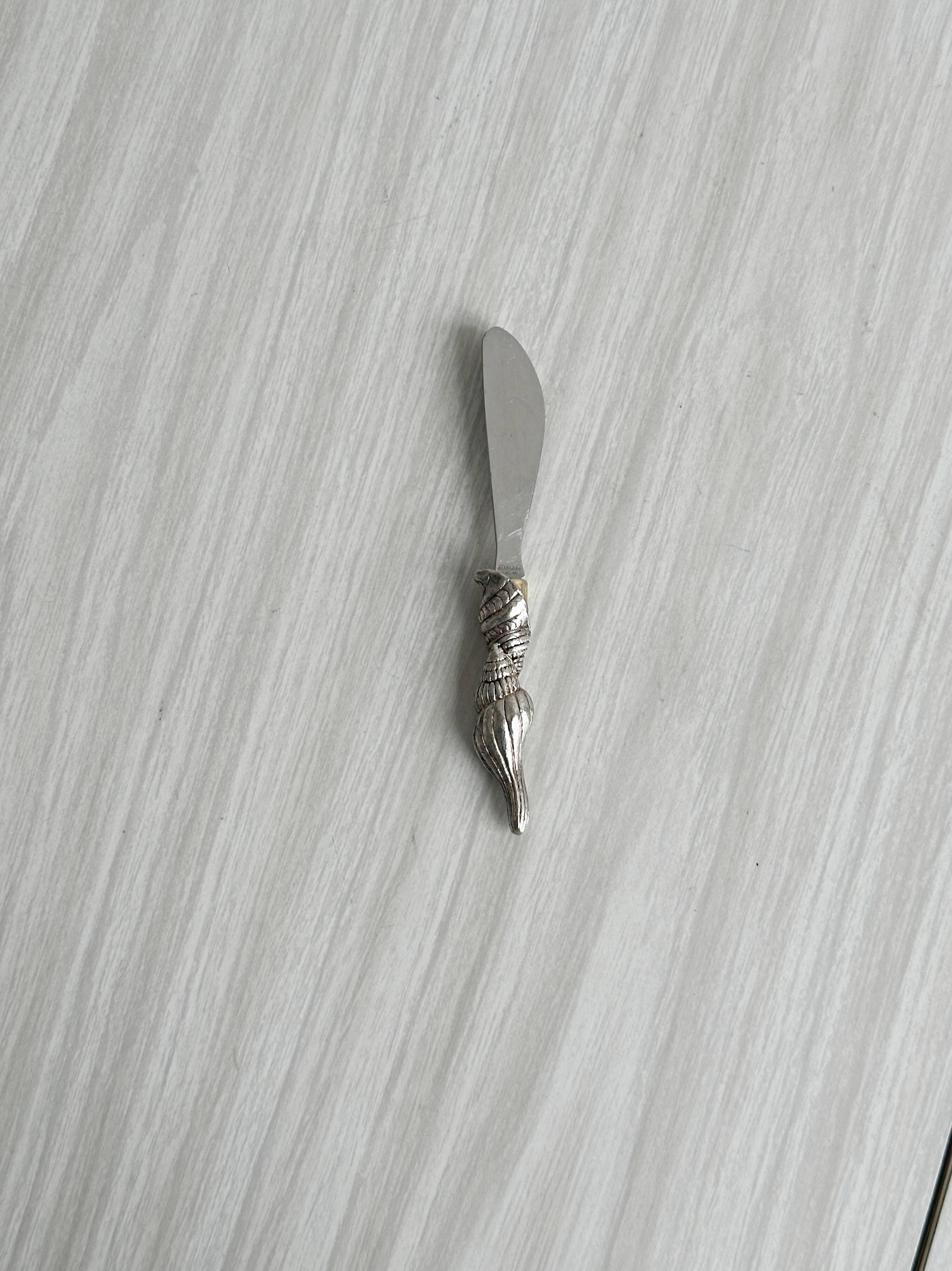 Couteau à beurre élégant en métal brillant