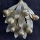 Rare 2 Ciani Italian Hollywood Regency wall sconces, exemplary quality