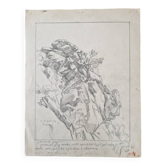 Louis John Endres (1896-1989) - Dessin au fusain sur papier - Paysage  Tizi N'Test Grand Atlas Maroc