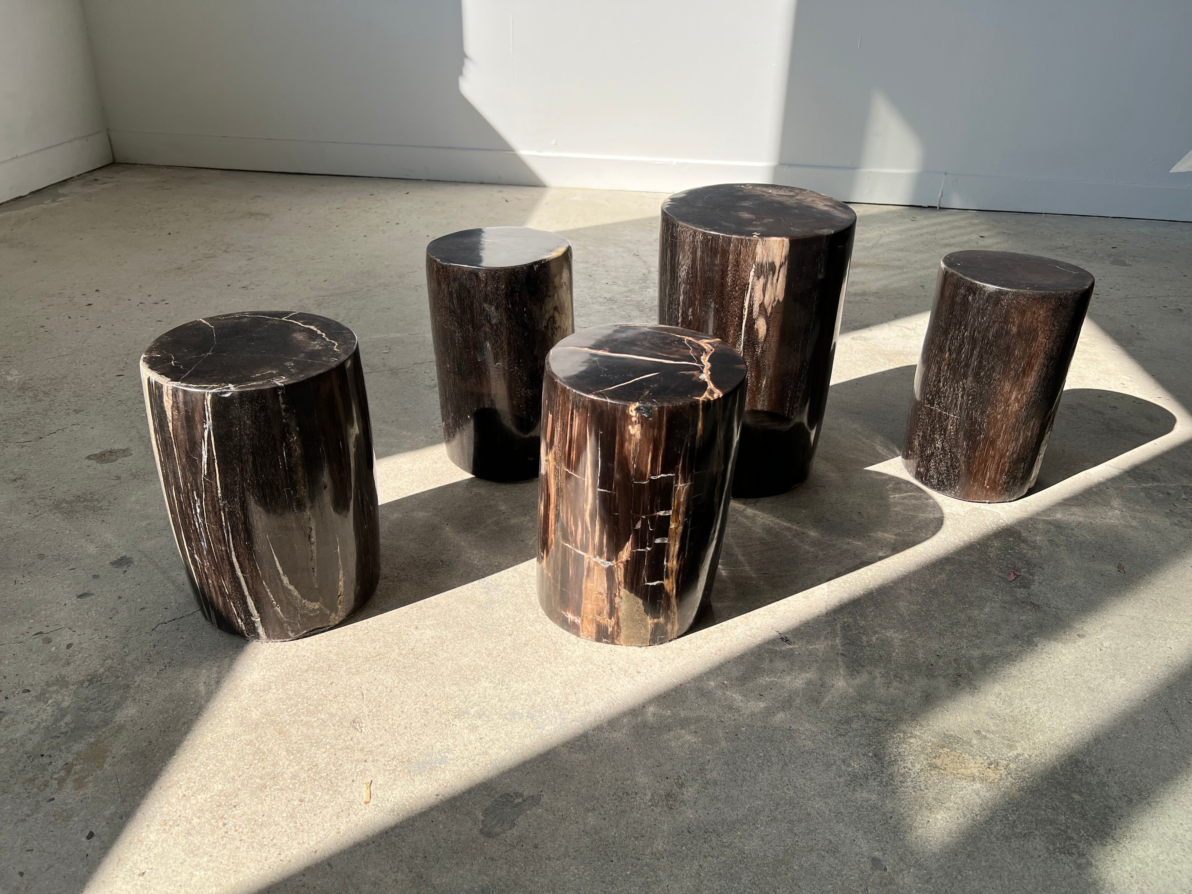 Side table in black petrified wood h:28,5cm d:17cm