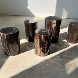 Side table in black petrified wood h:28,5cm d:17cm