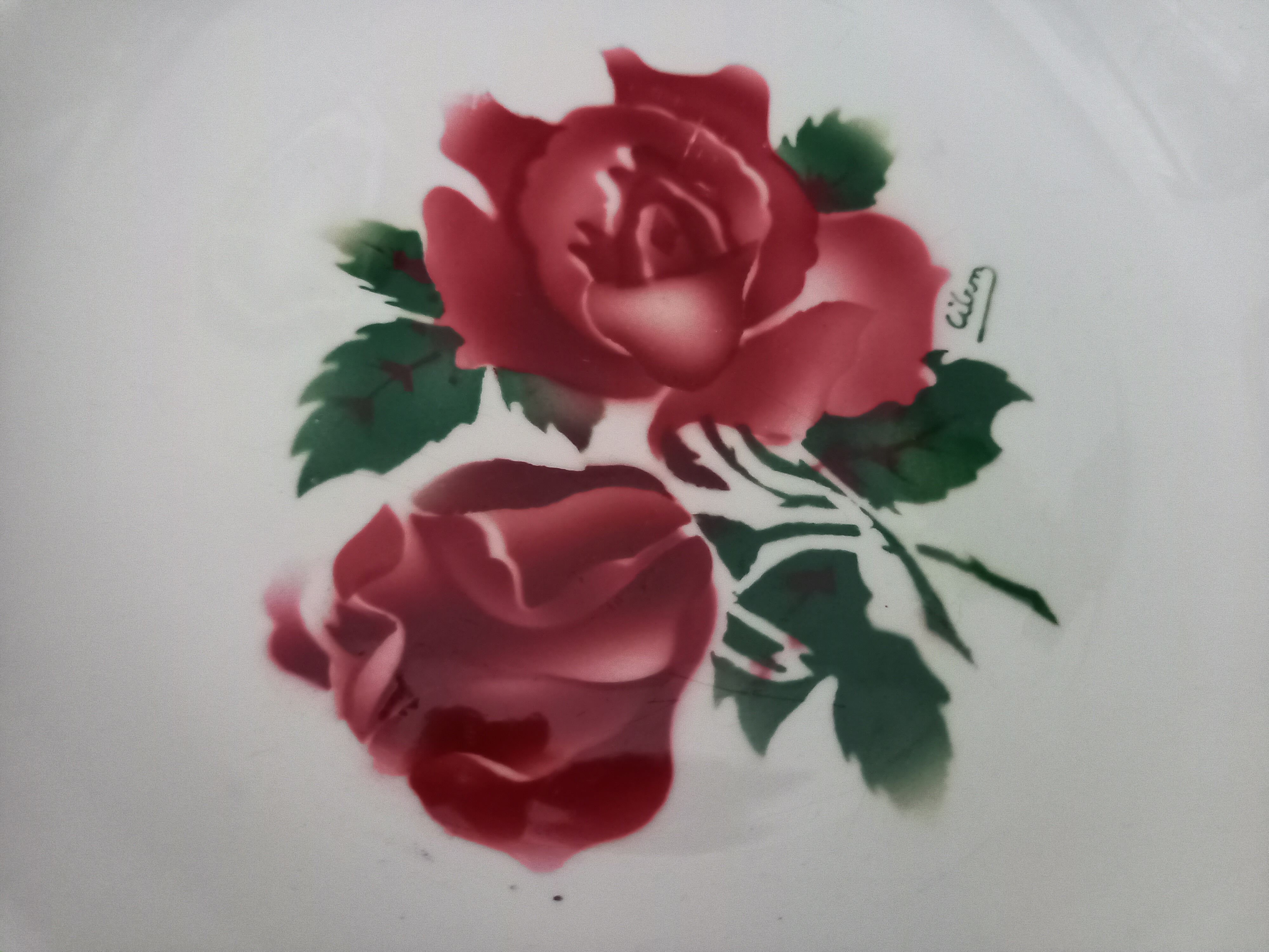 Lot of 6 hollow plates Digoin Sarreguemines