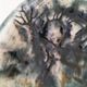Glazed ceramic cup – Deer in the forest – Incised decoration and free form