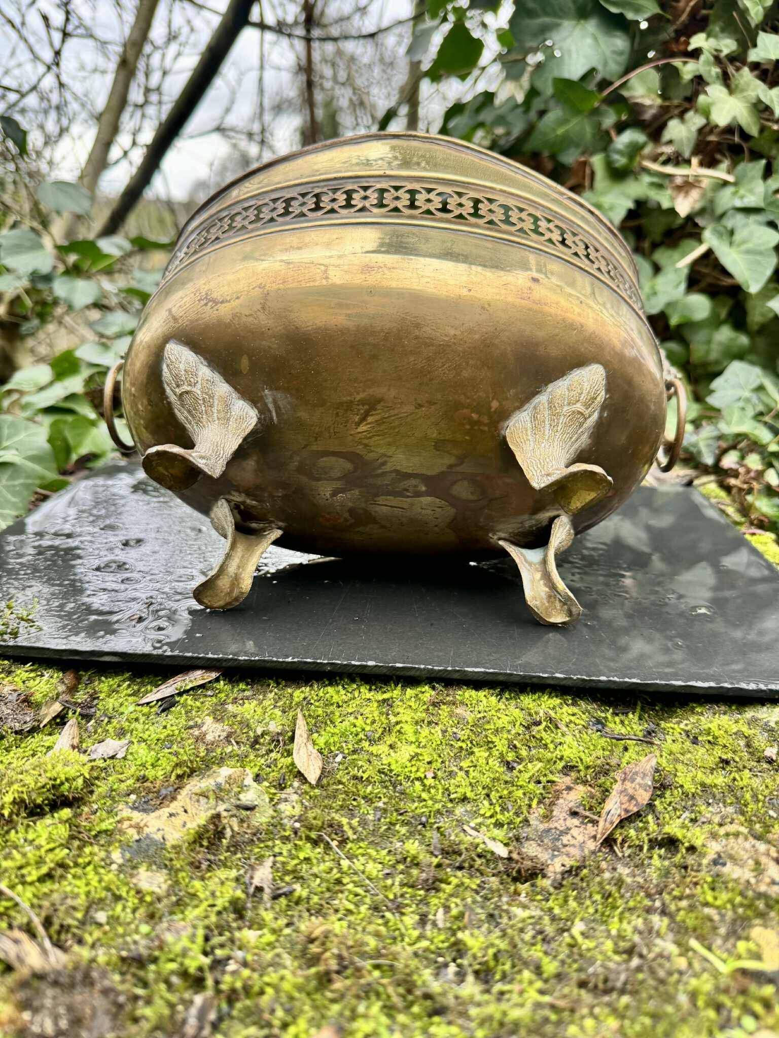 Large brass lion planter from the Napoleonic III era.